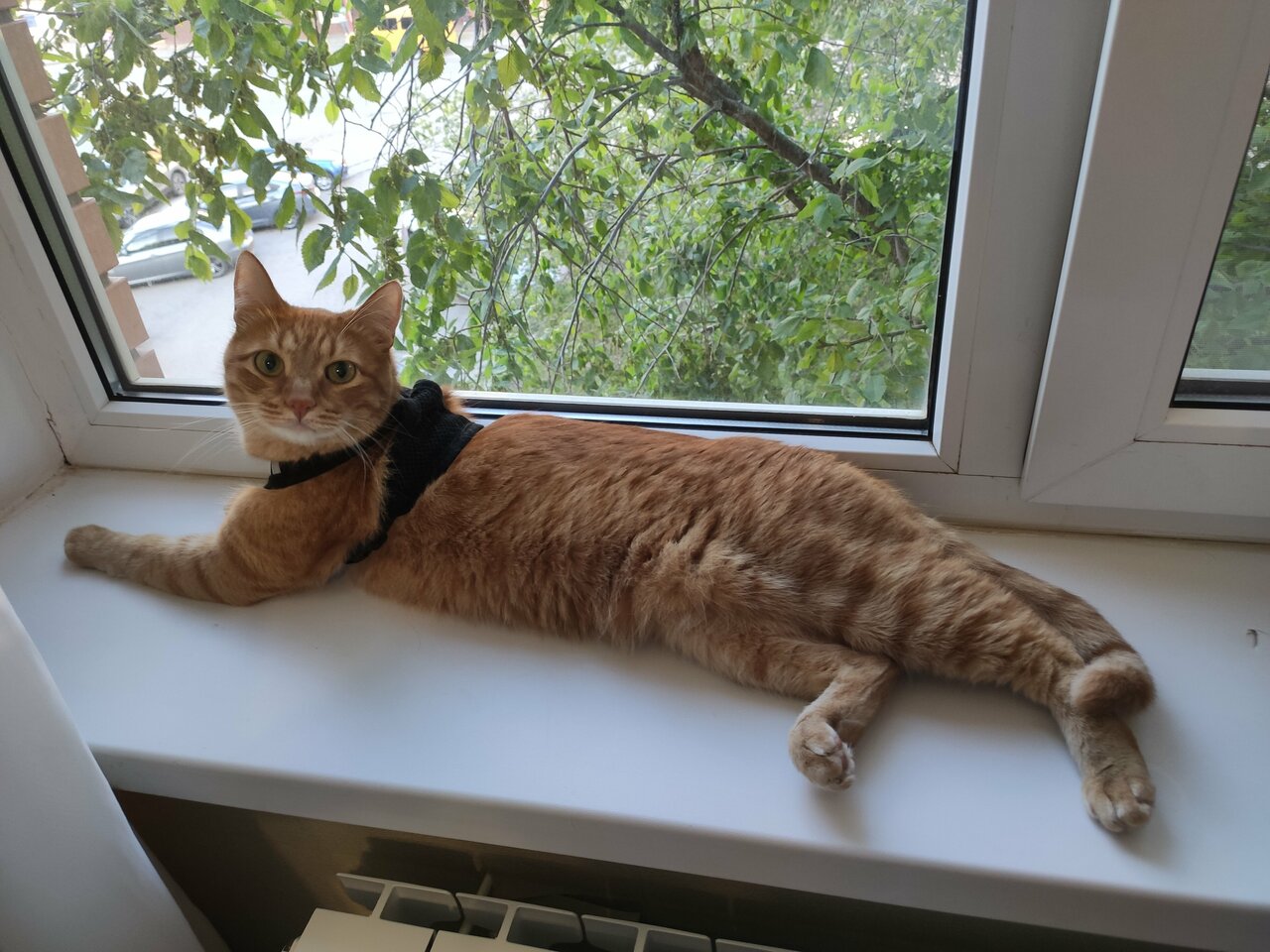 Мини-отель Шанс Элиста-79