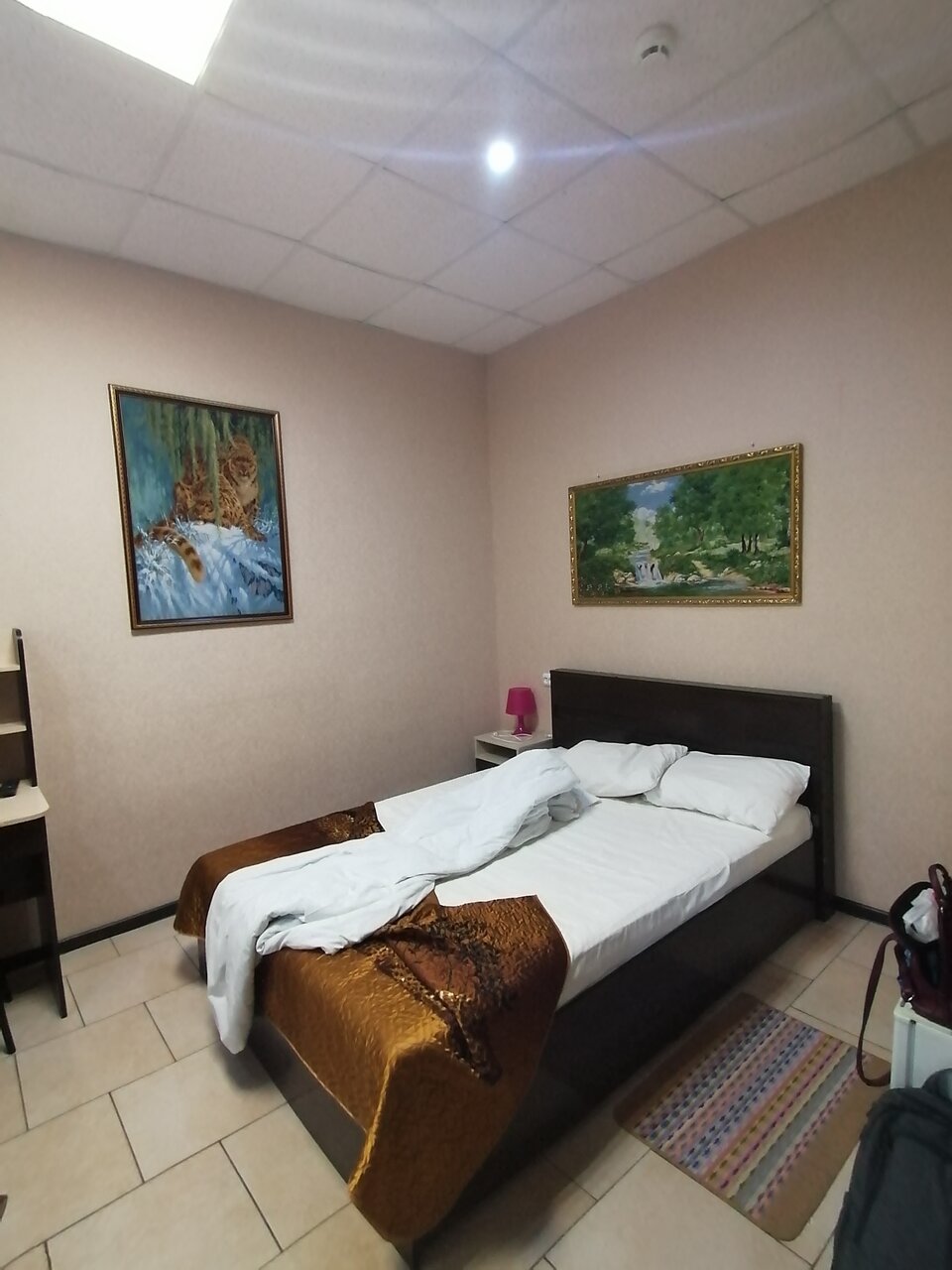 Мини-отель Шанс Элиста