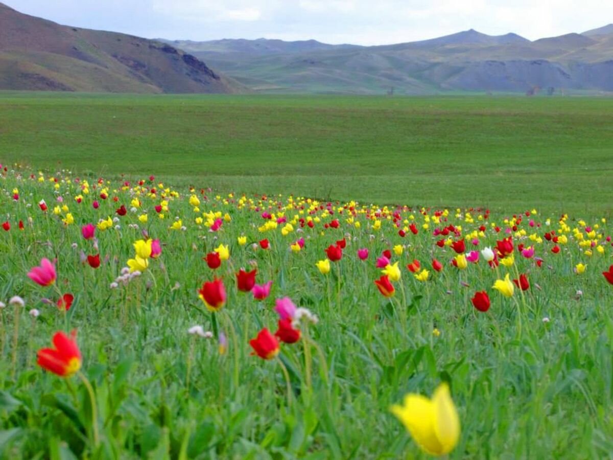 Мини-отель Шанс Элиста-70