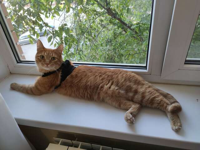 Мини-отель Шанс Элиста-78