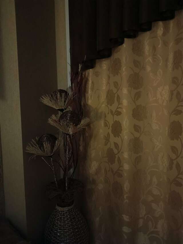 Мини-отель Шанс Элиста-85